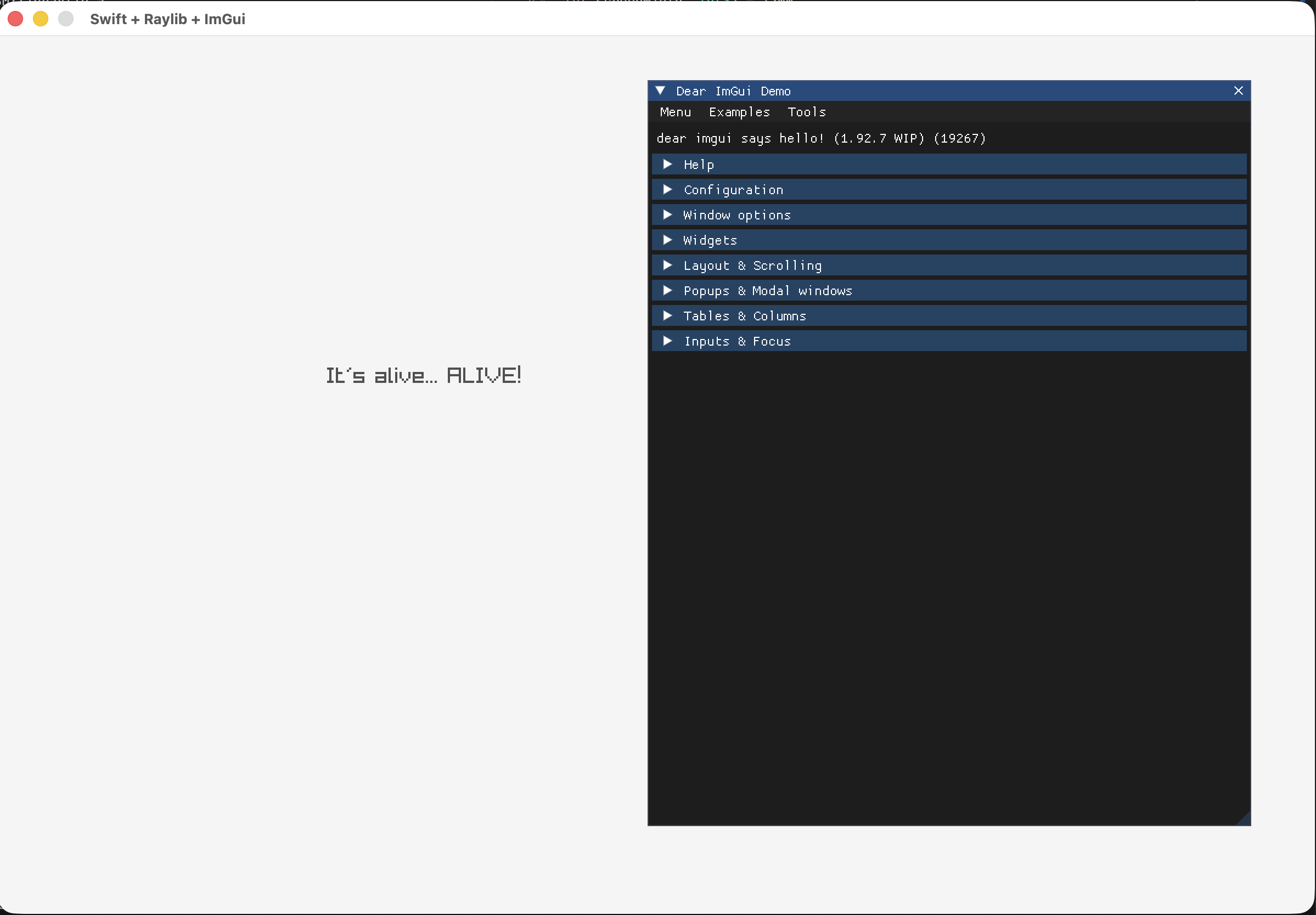 A native window using Swift, Raylib, and DearImGui